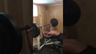 315 4 times at a 150 lbs body weight road to 400 bench press