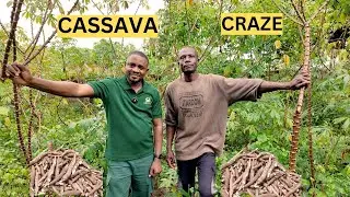 How He&rsquo;s Earning Millions with Cassava Farming in Nigeria