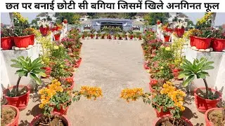 Terrace Garden Overview | देखिए मेरे गार्डन में खिले हैं प्यारे प्यारे फूल | Terrace garden idea