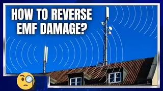 Can You Reverse EMF Damage? | EMF Protection