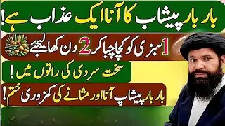 Best Islamic Motivational Quotes in Urdu/Hindi | Quotes About Life In Urdu |Urdu Quotes |