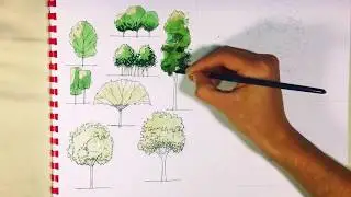 اظهار معماري   اظهار الاشجار بالالوان المائية drawing trees with watercolor