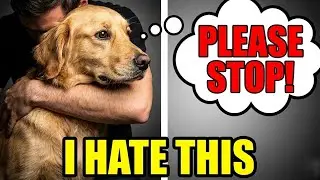 30 Things Your Dog Wishes You Knew (But Can't Tell You) 💔 | ShikyFAV
