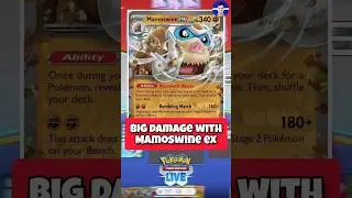You should try MAMOSWINE EX with Pidgeot ex & Annihilape in Pokemon TCG! #pokemontcg #pokemoncards