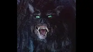 Cherokee death cat, catawampus , mountain monster