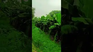 ye beutiful seens, prakartik raonak, Sidhashram dham najara prakartik sondarya