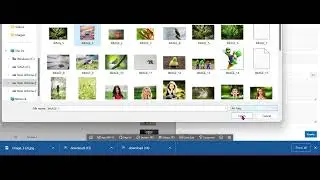 File Image Upload / File Image Download / View File Image - Oracle APEX
