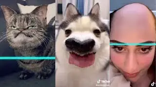 Time Warp Scan Tik Tok Filter Compilation! Reaction!