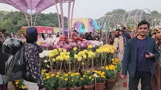 Race Course Park in Lahore / Jilani Park's Flower Exhibition 2025 