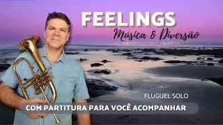 Feelings - Fluguel-horn Solo (M&uacute;sica e Divers&atilde;o)