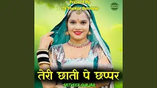 Teri Chhati Pe Chhappar