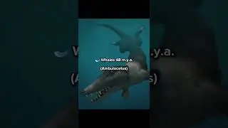 Animals that were WEIRD 💀