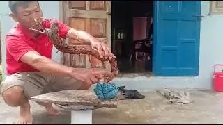 M540 gl c&acirc;y ma dương 100k LH 0707713796 Khương bonsai 