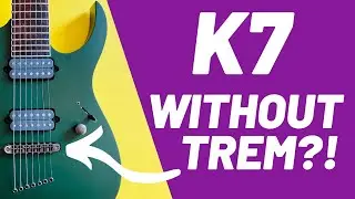 KoRn СПАС 7-струнную гитару? | 2011 Ibanez APEX2