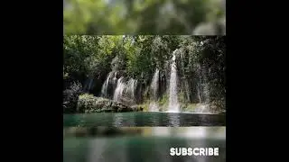 Peaceful Piano Music - Song by Relaxing Piano Music and Spring Awakening