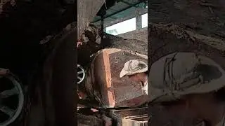 Giant Tree Stump