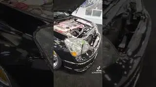 Ls400 VIP Junction Produce #sema2024