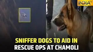 Sniffer Dogs To Aid In Rescue Operation At Tapovan Tunnels