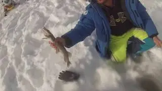 Chapleau Ice Fishing Derby 2017