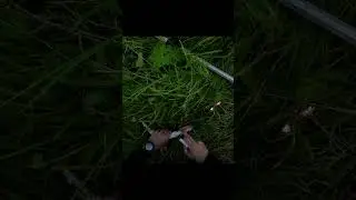 #спининг #fishing #shortvideo #рыбалка #щука #fish