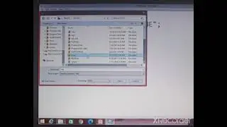 How to Run a PHP Program in XAMPP Server | PHP Sample Program