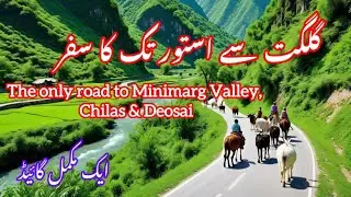 Gilgit to Astore || Road to Minimarg, Chilas , Deosai, Rainbow lake and Crystal Lake || travel vlog