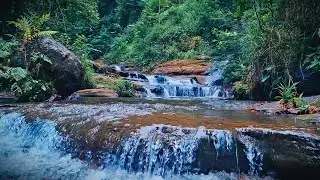 Mountain River Waterfall Flowing | Water Sounds, Nature White Noise, River Sounds for Sleeping
