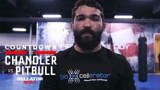 Countdown | Patricio Pitbull - Week 1 | Bellator 221