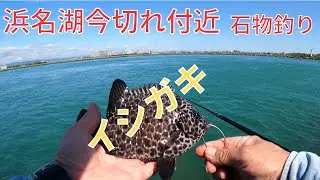 浜名湖でやっと石物が釣れた