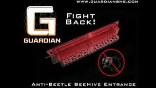 Guardian Bee Hive Entrance Install