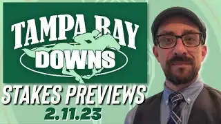 TAMPA BAY DOWNS STAKES PREVIEW featuring Kentucky Derby Prep - SAM F DAVIS STAKES!