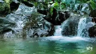 Night River Sounds for Sleep | Calm Flowing Water Stream to Relax Mind