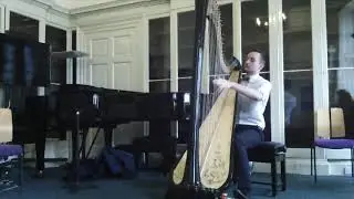 Harpist For Wedding Ceremony - Evan (Live Showreel)