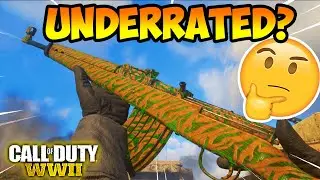 This Rifle is Underrated in COD WW2... (Gewehr 43 Best Class Setup)
