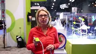 Kulzer Booth