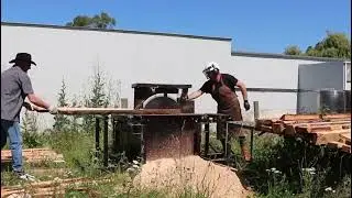 Sawmill breast bench cutting Douglas fir