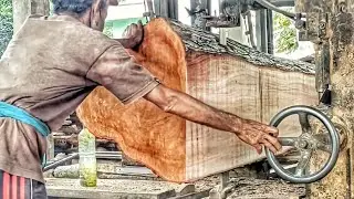 Massive 440-Centimeter Mahogany Log Turned Into Truck Bed Panels 🌳