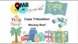 Snorkeling on MacKay Reef, Ocean Safari,  October 2024