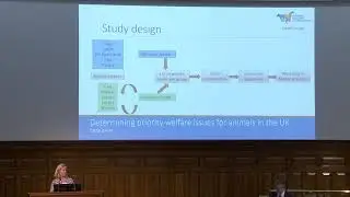 Research update - Delphi project to prioritise UK animal welfare issues