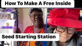 How To Make An Indoor Seed-Starting Station, Using What You Already Have.