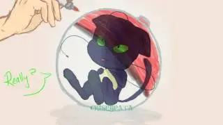 [Miraculous Comic] Kwami Catcher/Alolan Plagg [Polish Fandub]