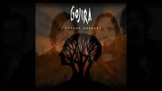Gojira - L'enfant sauvage - (guitar cover by Stige76)