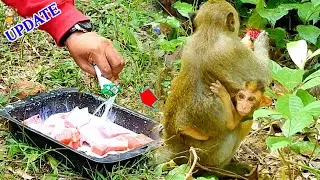 Food support everyday for poor girl Elpida, Elpida deep sad cuz Alberto not bring her close to milk