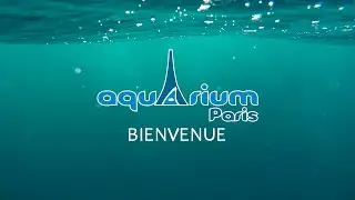 Bienvenue &agrave; l'Aquarium de Paris