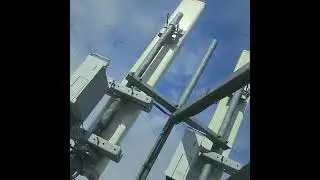 WHEN BIRDS DO BIRD STUFF CELL TOWER 5G