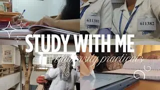 Study With Me for MBBS Practical exam 📚🩺🥼