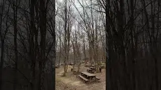Belgrade Forest (Belgrad Orman İ&ccedil;i Dinlenme Tesisleri)🏕️🏞️🌳🌴🌲🌿