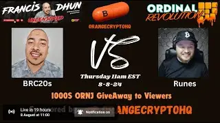 $1,000 giveaway debate BRC-20 VS RUNES