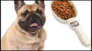 Pet Food Measuring Scoop for French Bulldog