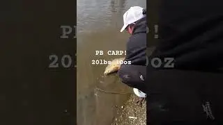 New Pb Carp😍😍 #fishing #trending #carp #viral #viralvideo #video #big #monster #massive #fish